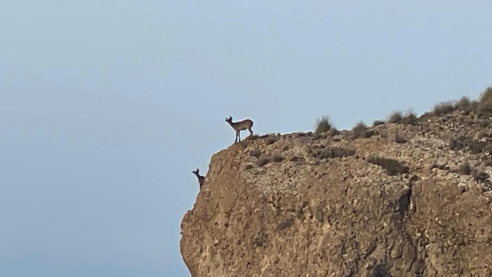 Atico En Parque Natural Cabo De Gata Carboneras Spain
